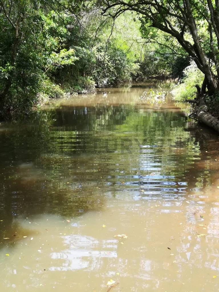Vendo estancia en Caapucu - Departamento de Paraguarí — foto 3