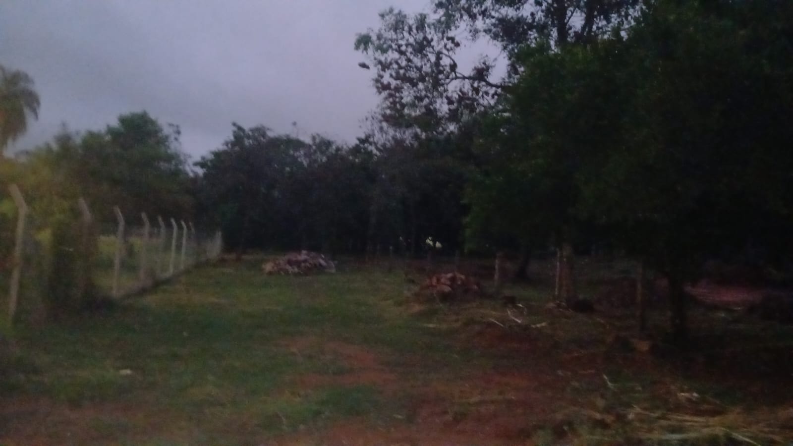 Terreno — foto 3