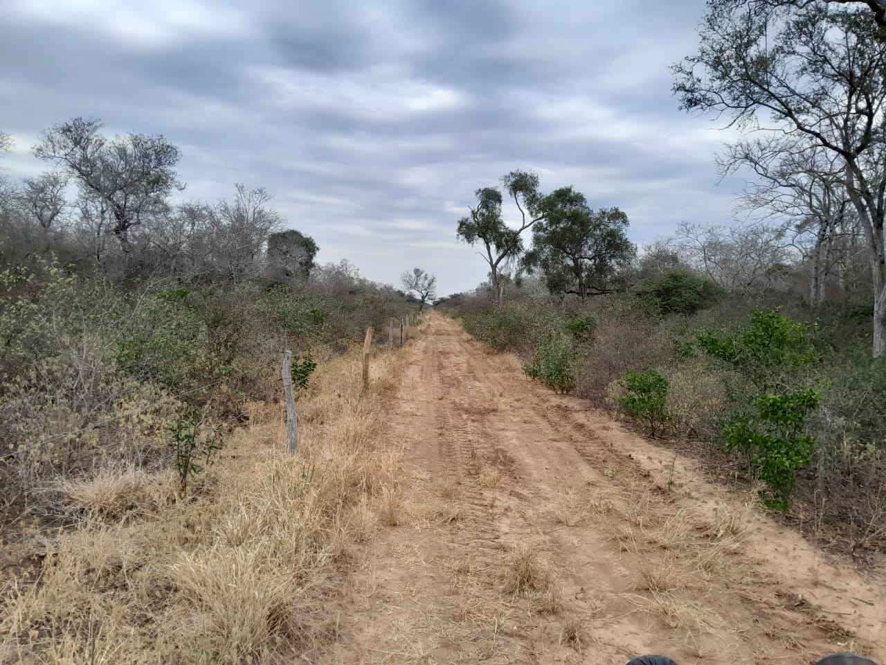 Vendo Campo De 4.000 Hectáreas En La Colonia Soldado Guaraní-clcs5561089 — foto 3