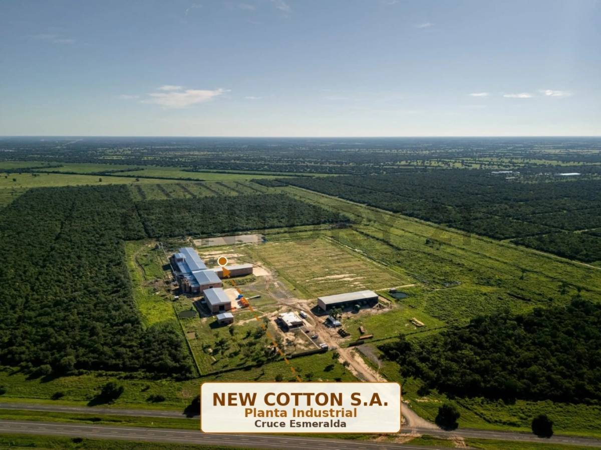 Terrenos en venta en Cruce Esmeralda, Filadelfia - Chaco — foto 2