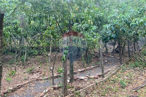 Terreno - Venta - Paraguay Cordillera San Bernardino — foto 2