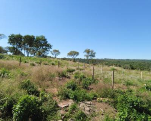 Lote de 1.000 m2 en Barrio Cerrado ALTOS DEL SALADO — foto 3