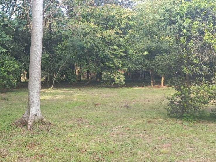 VENDO TERRENO EN EL BARRIO DIVINO NIÑO JESUS DE ENCARNACIÓN — foto 2