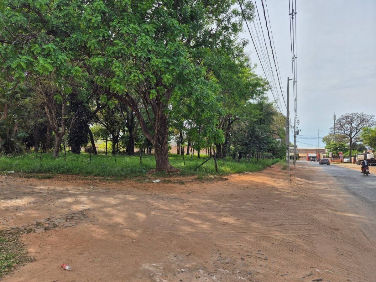 Vendo terreno en Esquina — foto 3