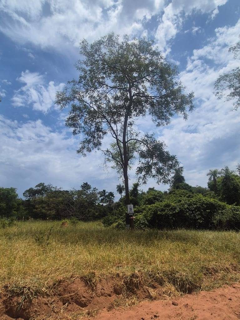 ¡VENDO TERRENO EN ATYRA! — foto 3