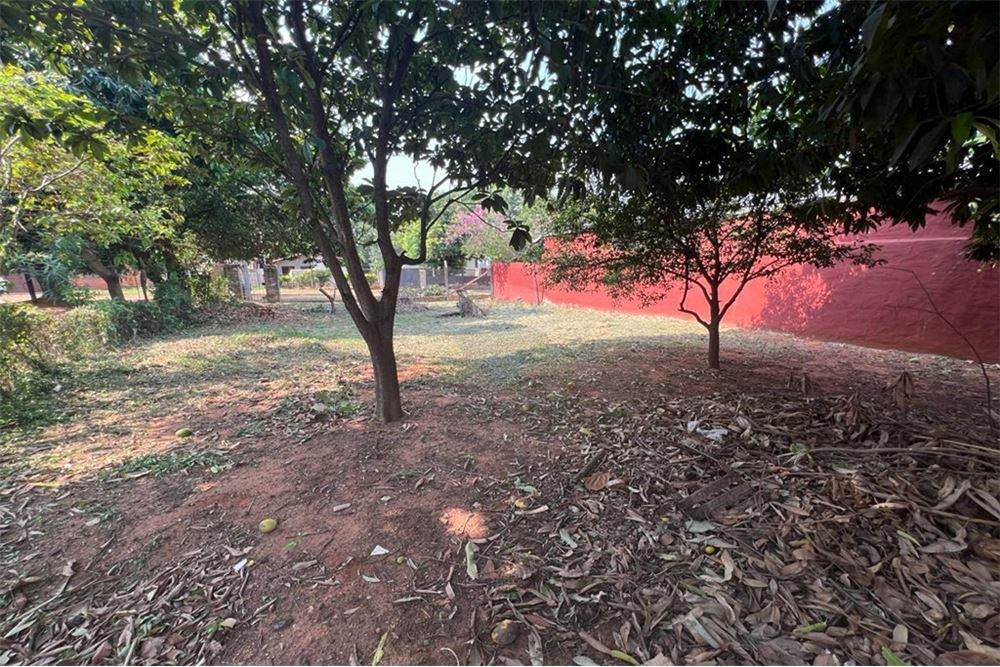 VENDO HERMOSO TERRENO EN LUQUE LAURELTY — foto 3