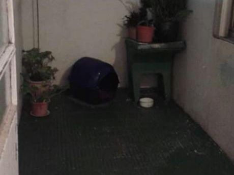 Apartamento En Jacinto Vera
