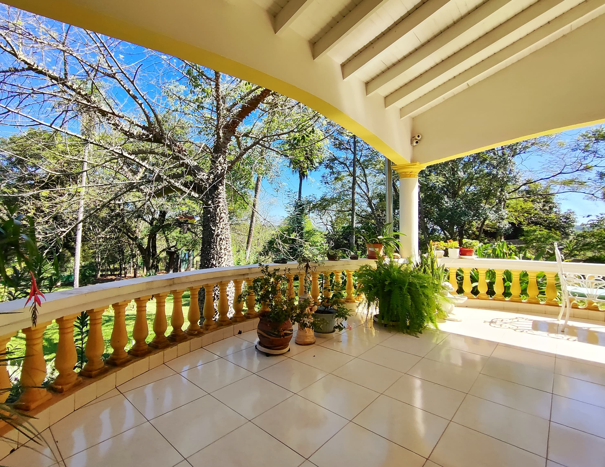 EN VENTA QUINTA DE 15 HAS. C/ RESIDENCIA, PISCINA Y ABUNDANTE VEGETACIÓN — foto 3
