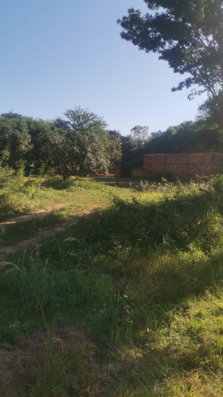 VENDO TERRENO A PASOS DE LA RUTA AREGUA PATIÑO — foto 2