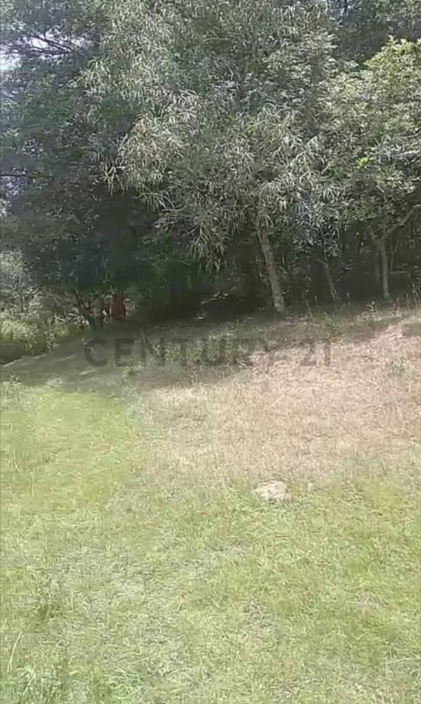 Venta de Propiedad Agrícola en Escobar, Paraguarí — foto 2