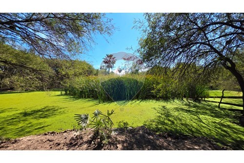 Estancia/Campo-Venta-PY Presidente Hayes Benjamín Aceval — foto 2
