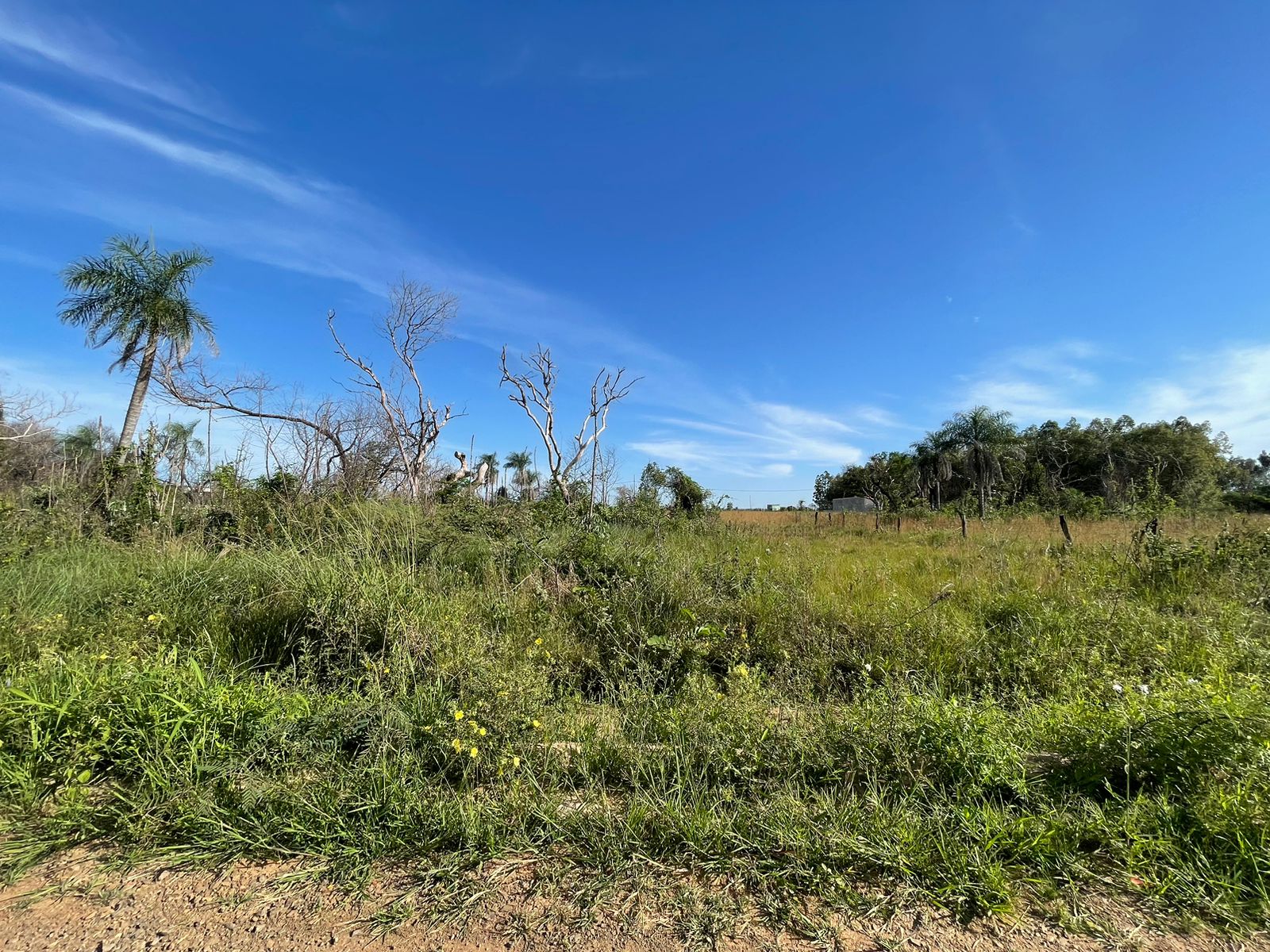 VENDO AMPLIO TERRENO EN SAN BERNARDINO ZONA CIERVO CUA — foto 2