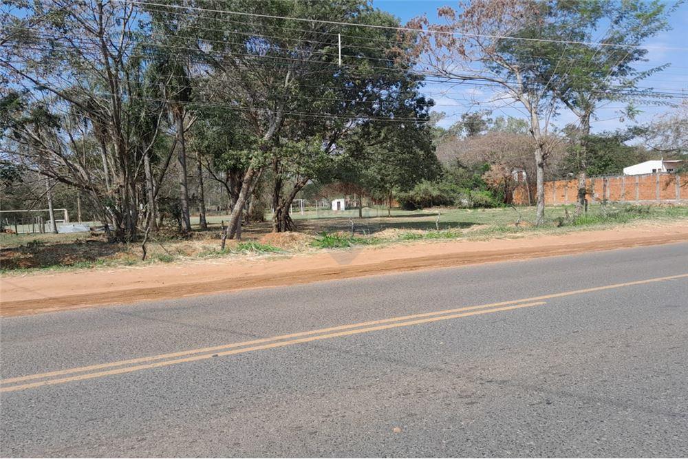 VENDO AMPLIO TERRENO SOBRE RUTA LUQUE LIMPIO — foto 3