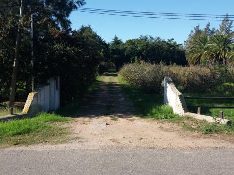 Valdense; Terreno En Pleno Centro De 2468 M2 Con Quinta De Higueras