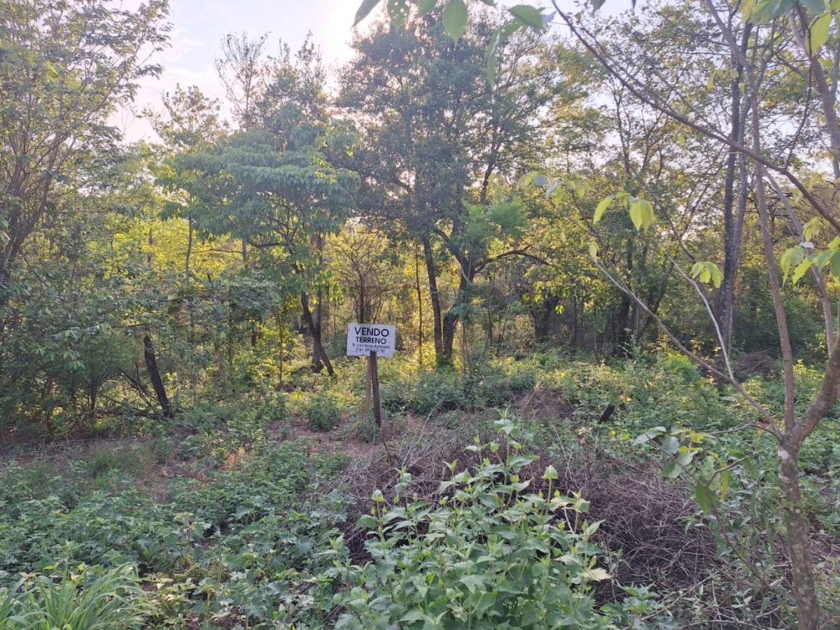 Vendo hermoso terreno en Ciervo Cua — foto 2