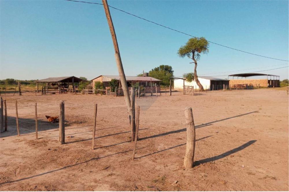 VENDO ESTANCIA EN PDTE.HAYES-TTE. ESTEBAN MARTINEZ — foto 3