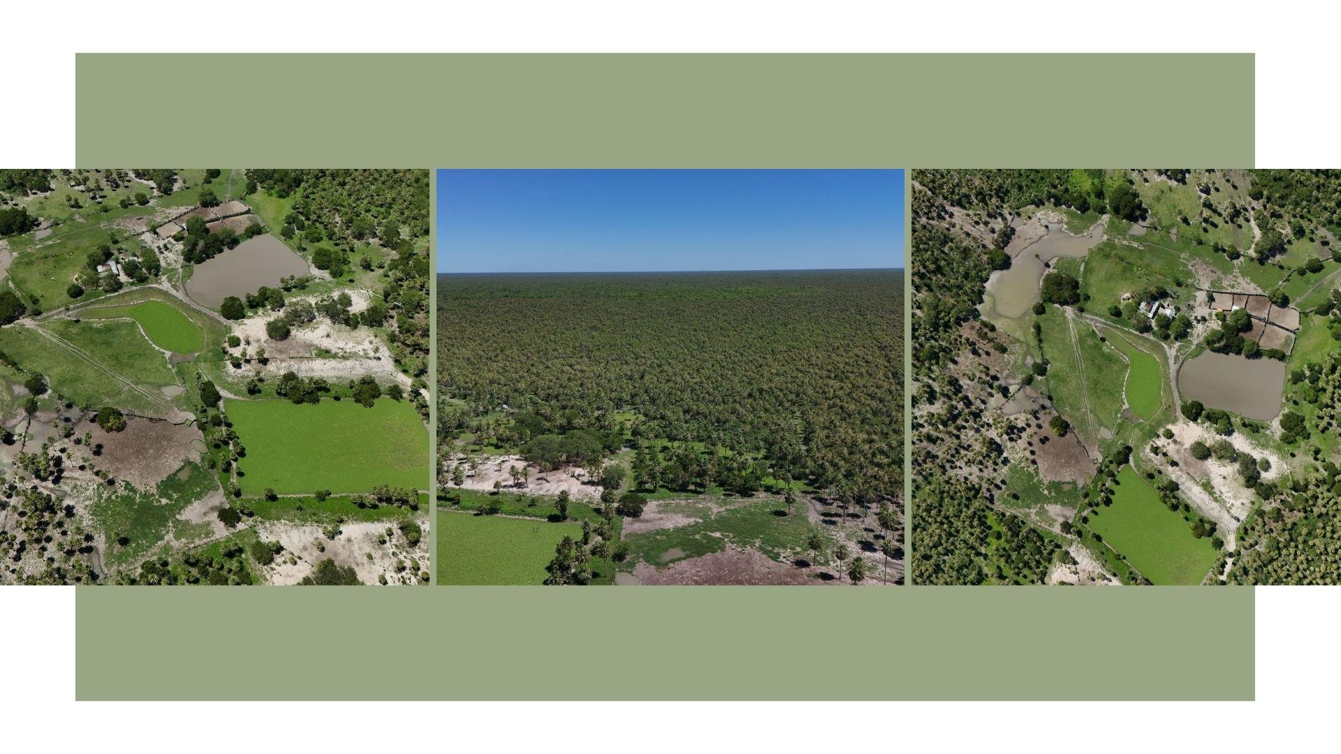 Campo en venta en Fuerte Olimpo — foto 3