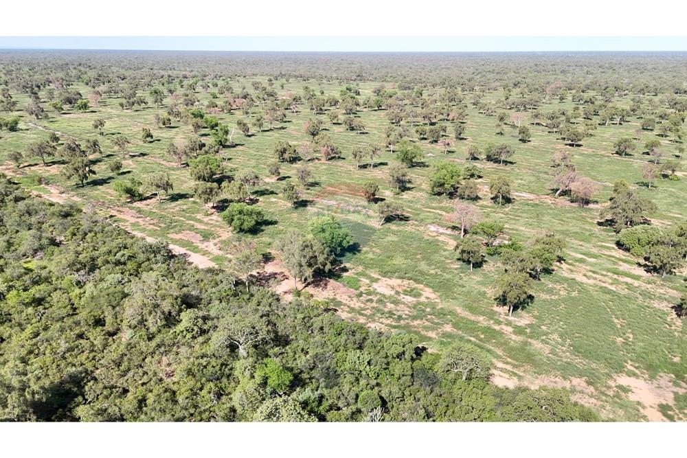 Vendo Campo Desarrollado en Mcal Estigarribia, Boquerón — foto 3