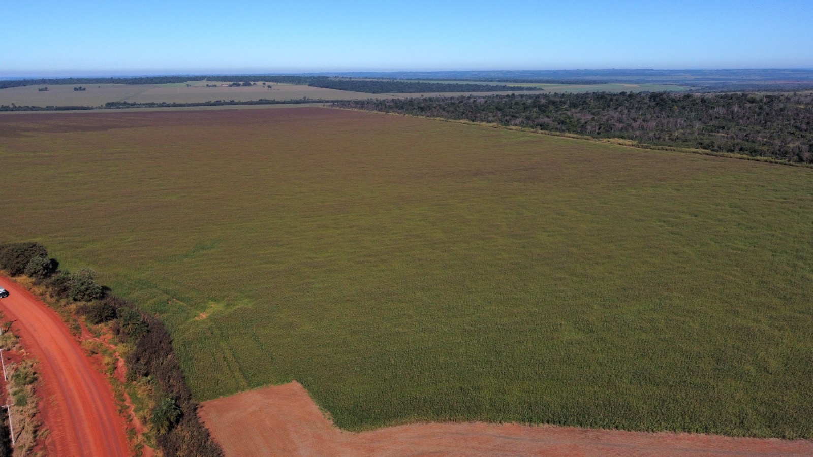 En venta campo de 1.001 hectáreas productivas en curuguaty — foto 2