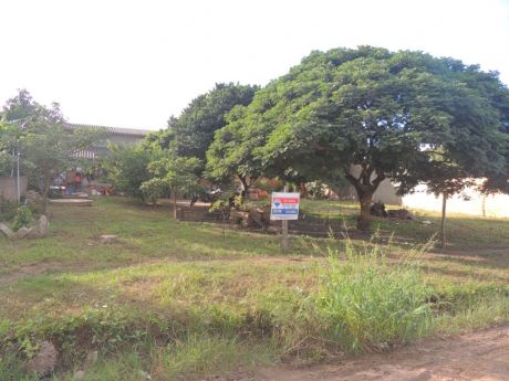 Terreno En El Dorado