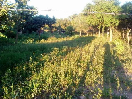 Terreno En Venta