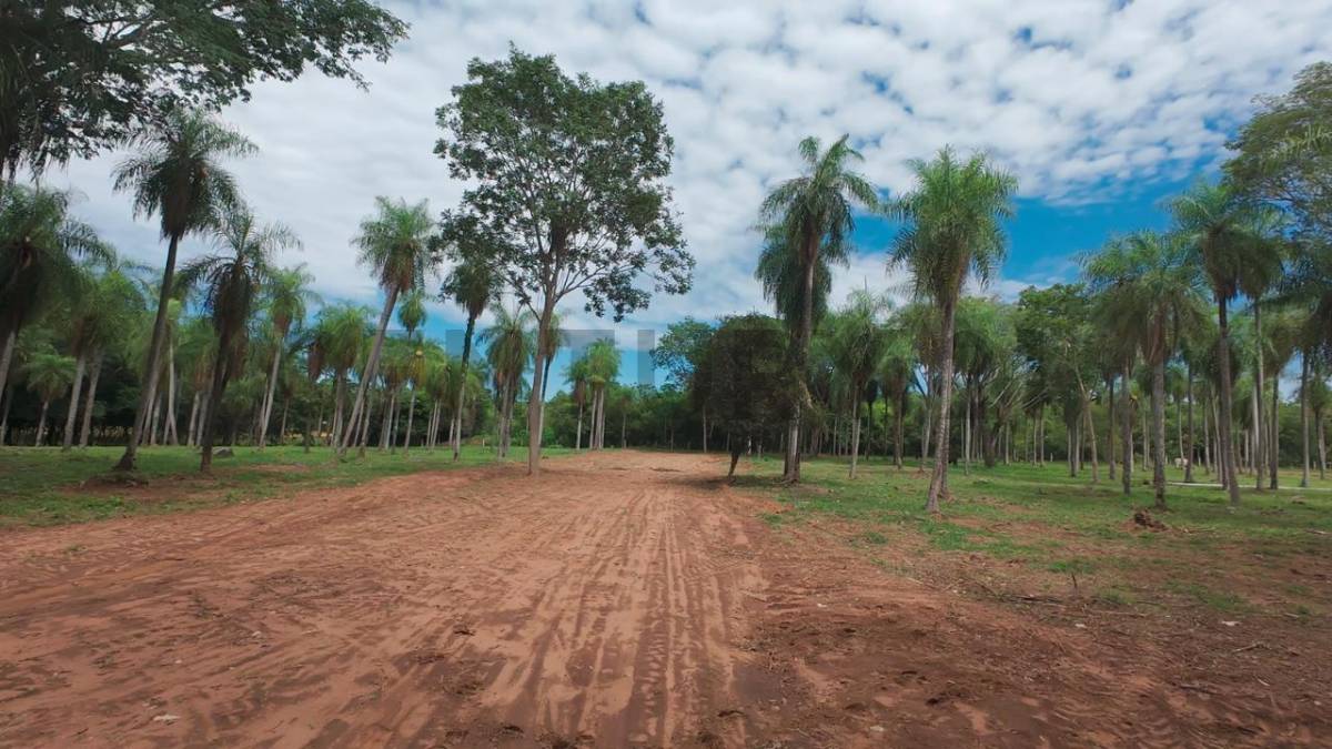 OPORTUNIDAD DE INVERSION LOTES EN LA CIUDAD DE ALTOS — foto 3