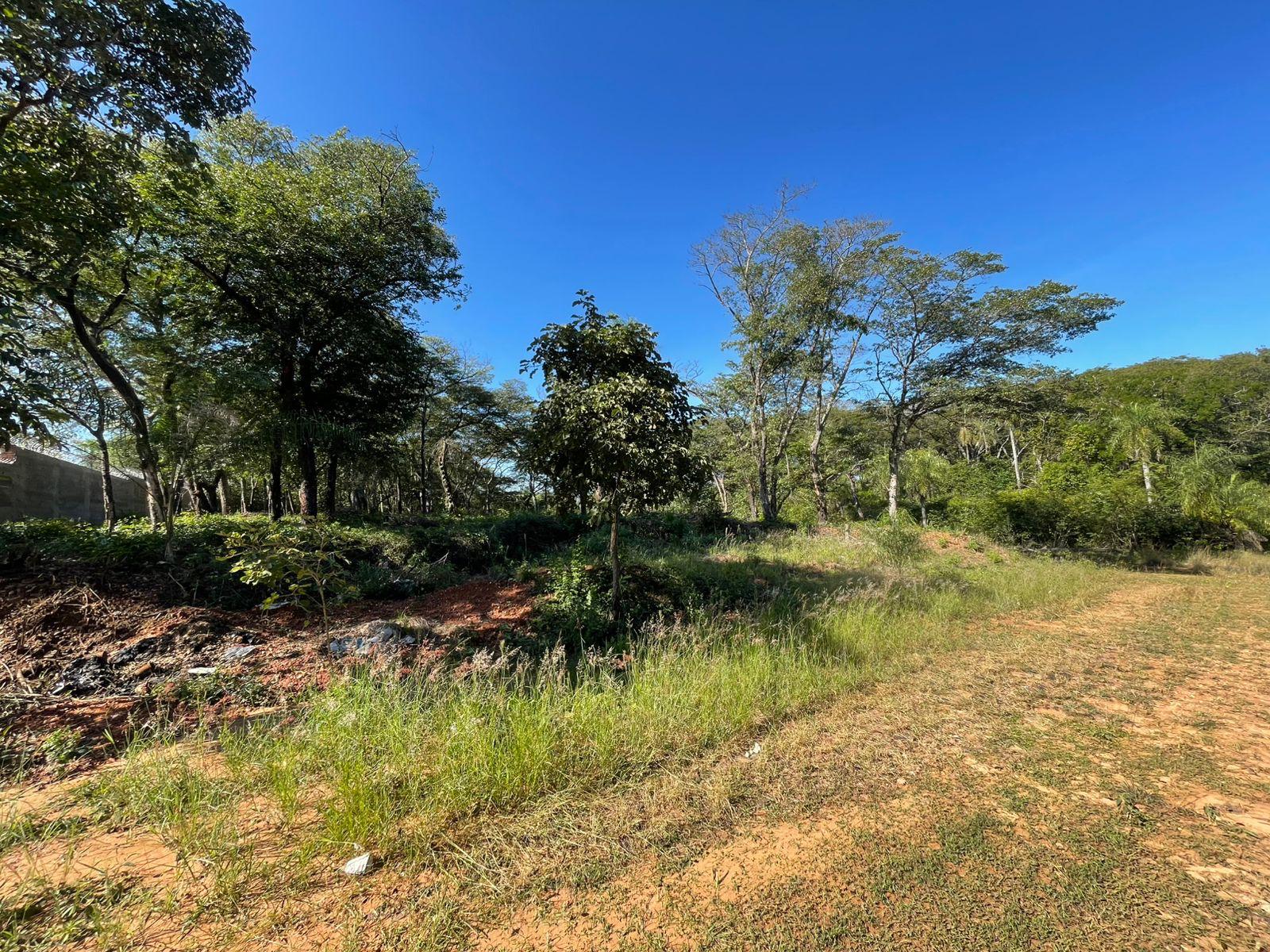 SAN BERNARDINO, ZONA CENTRO, EN VENTA 3 TERRENOS JUNTOS — foto 2