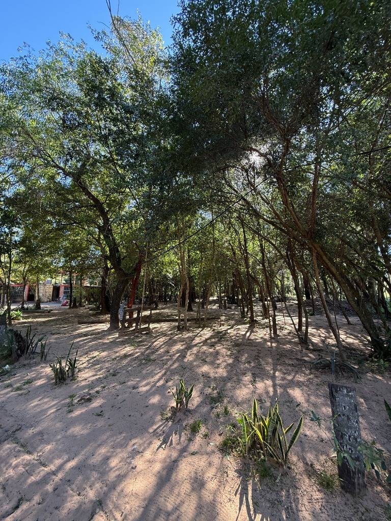 En venta Hectáreas en San Bernardino — foto 2