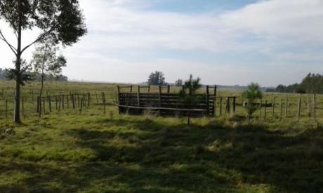 Chacra Ruta 7 Km 60 Entrega U106742 70000 Y Saldo A 5 Anos