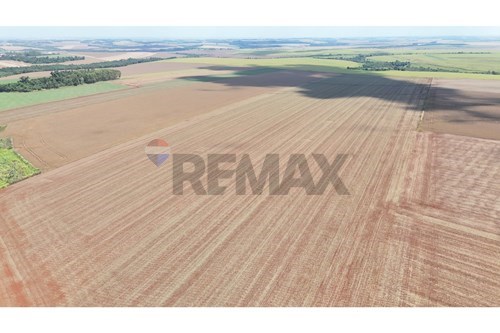 Estancia/Campo-Venta-PY Alto Paraná Santa Rita — foto 2