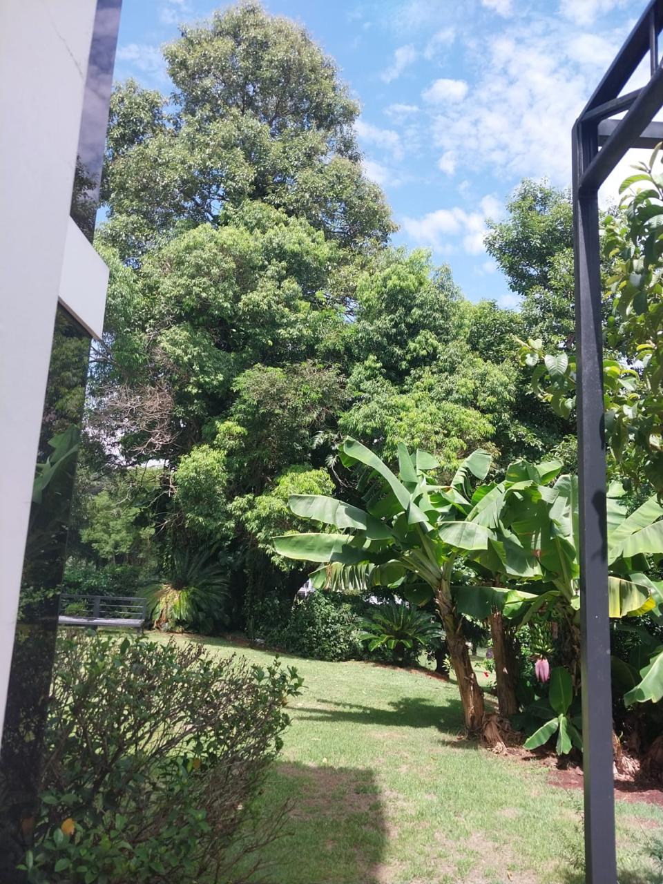 VENDO RESIDENCIA EN PARANA COUNTRY CLUB — foto 3