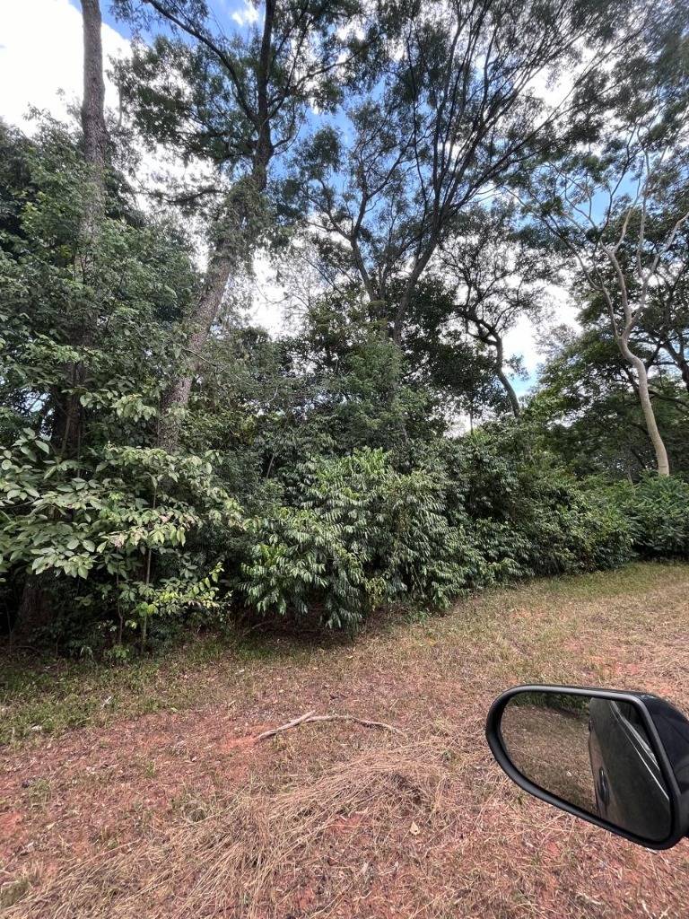 Terreno en venta en Altos — foto 3