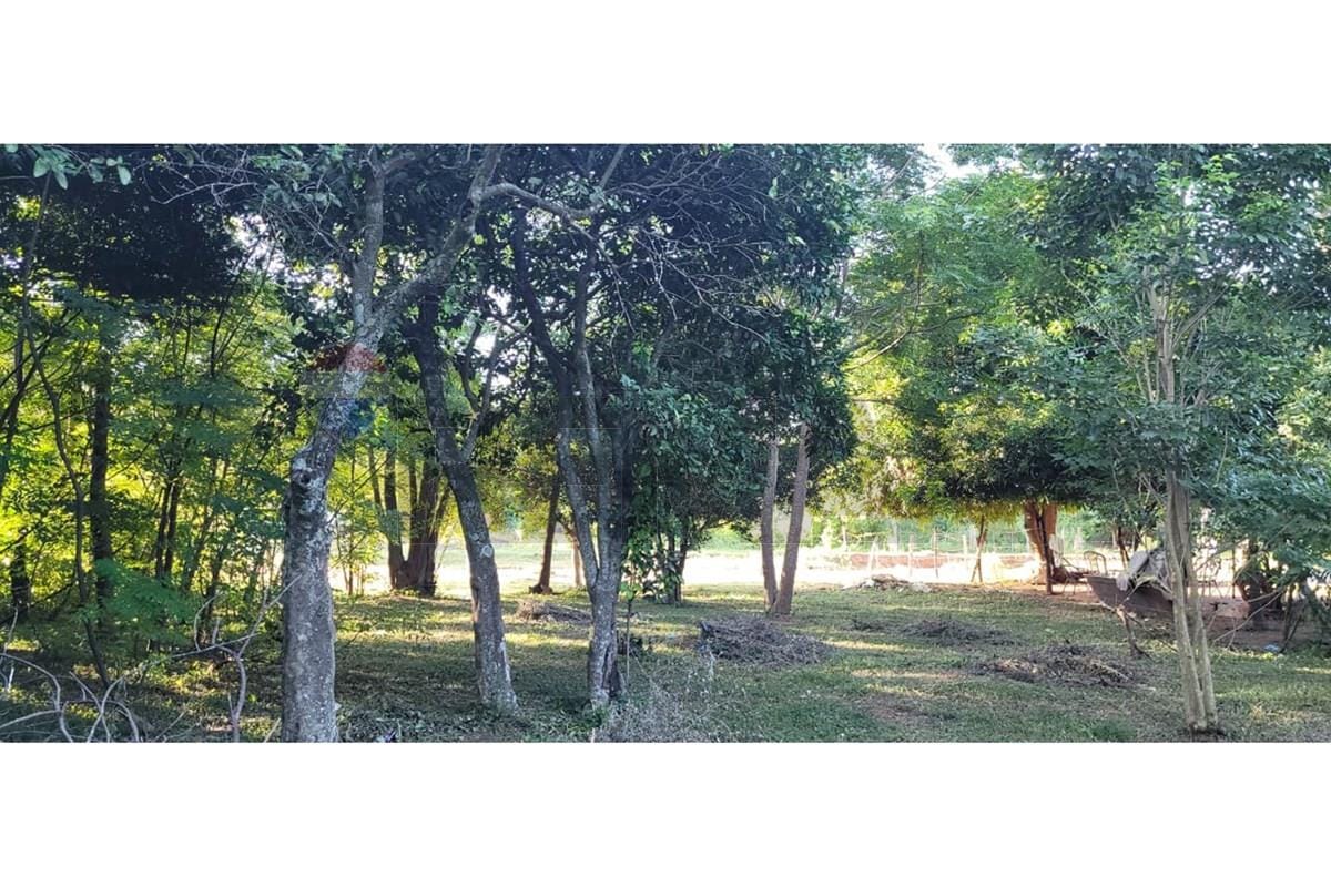 TERRENO EN PARAGUARI — foto 2
