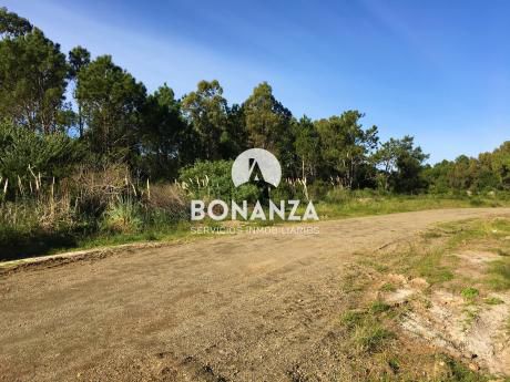Terreno En Venta, Piriápolis, Punta Colorada, A 3 De La Playa