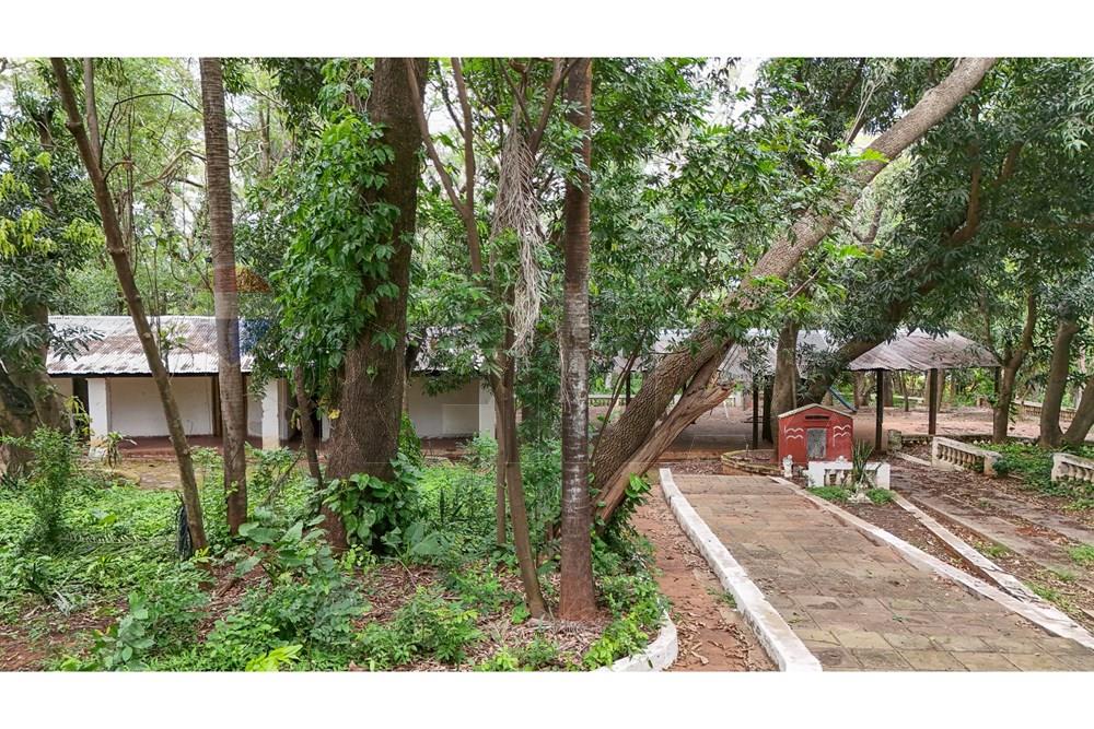 Terreno - Venta - Villa Elisa, Paraguay — foto 3