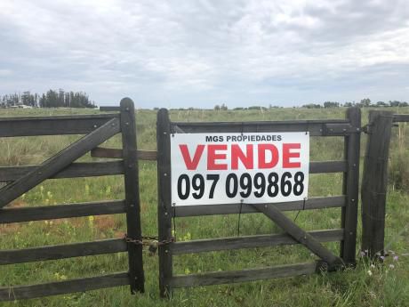 En Venta Terreno Rural Ruta 11 Km 144 A 4 Km De San Jacinto