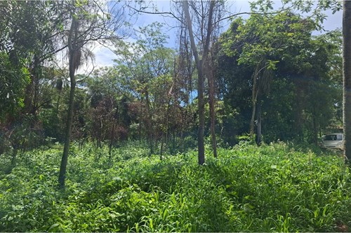 Terreno en venta en San Bernardino — foto 3