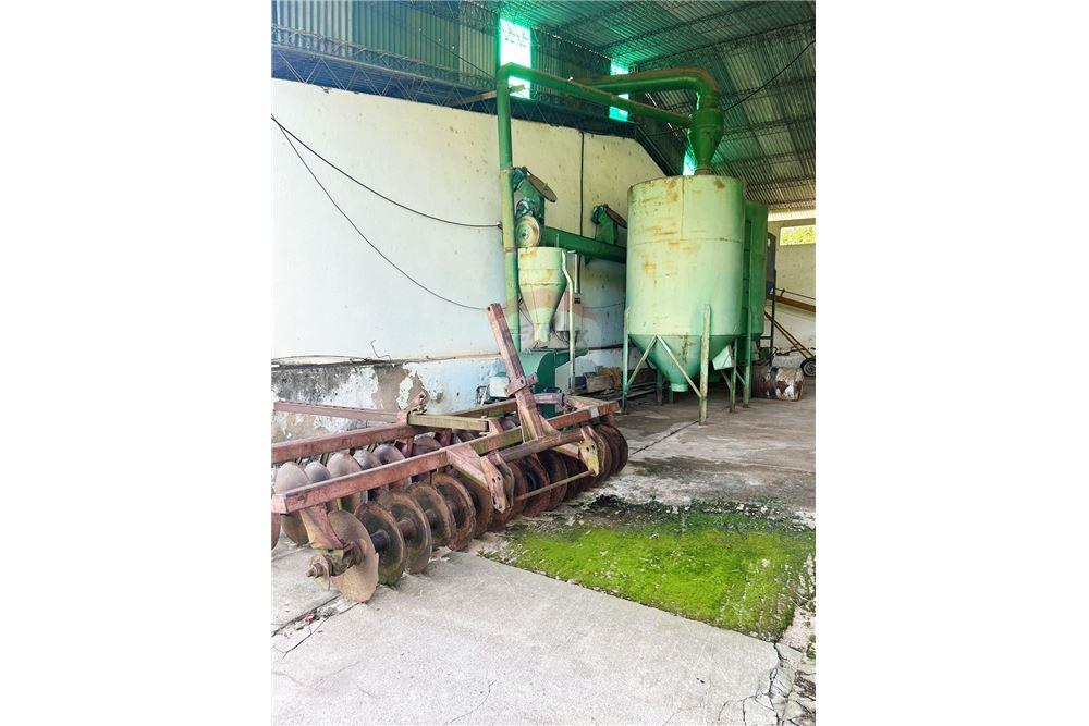 Finca Agrícola - Venta - Ybycuí, Paraguarí, Paraguay — foto 3
