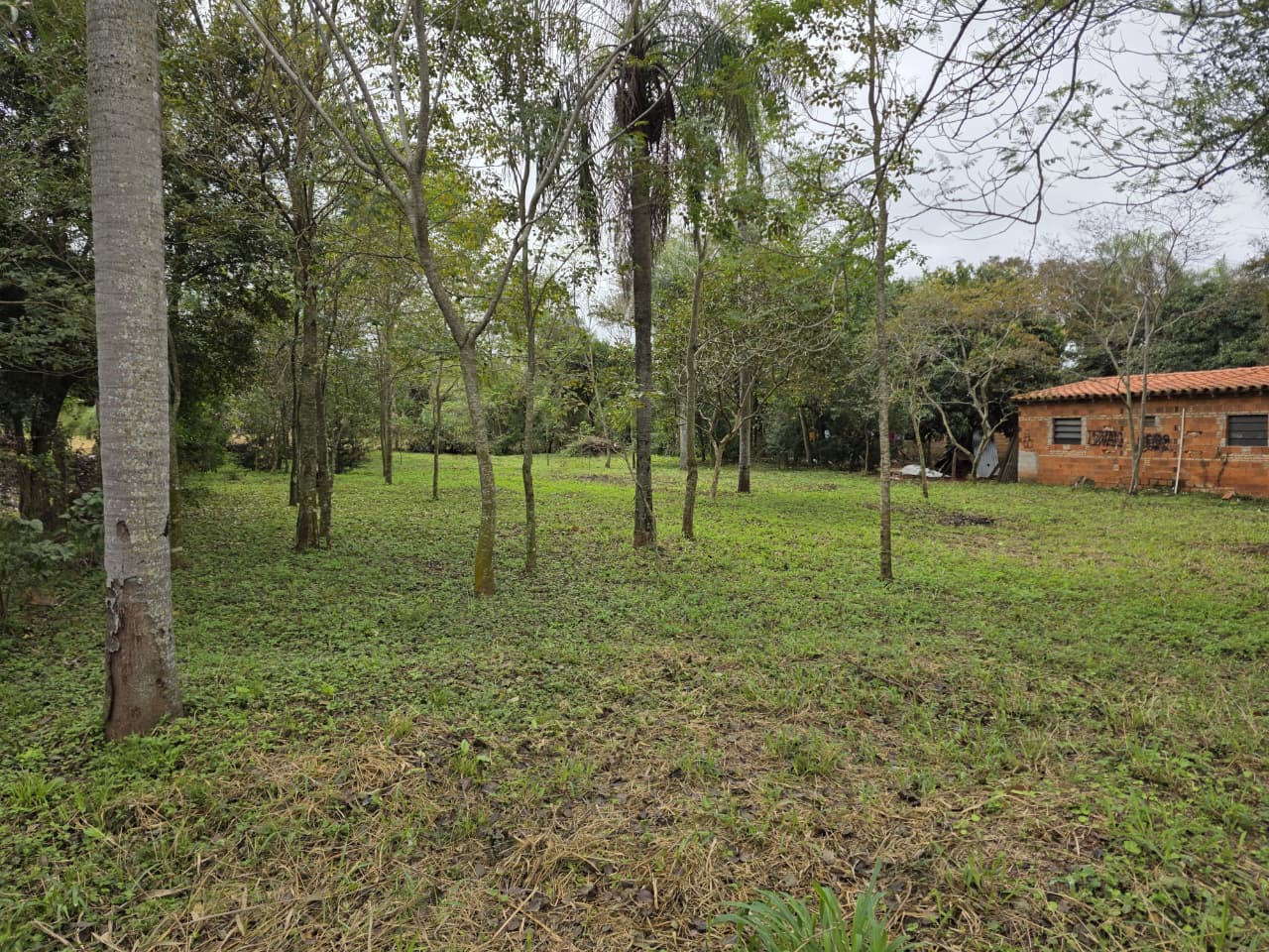 Terreno en venta en Caacupe — foto 3