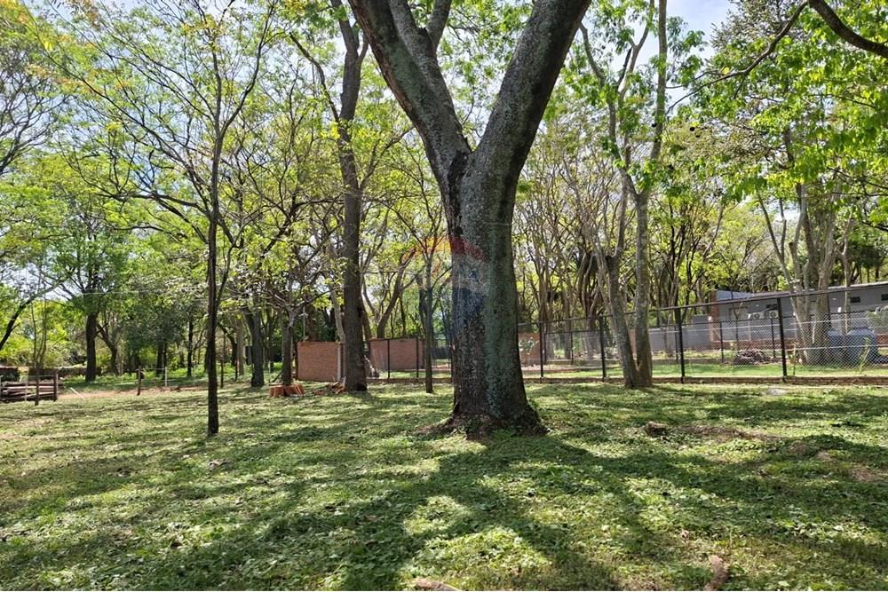 Terreno - Venta - San Bernardino, Paraguay — foto 2