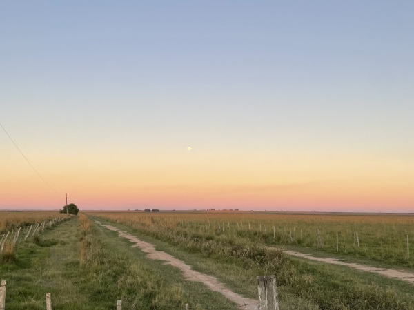 GRAN ESTANCIA EN VENTA – MISIONES, PARAGUAY — foto 3