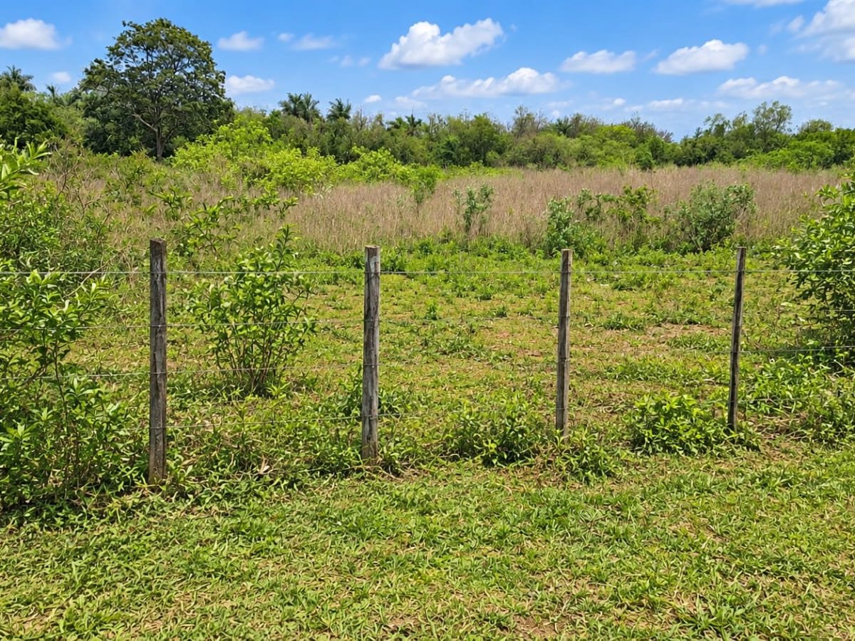 VENDO CAMPO EN JUAN M. FRUTOS VYRAUNGUA - 6 HECTAREAS — foto 2