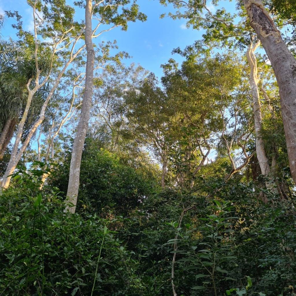 Venta De Terreno En Atyra — foto 2