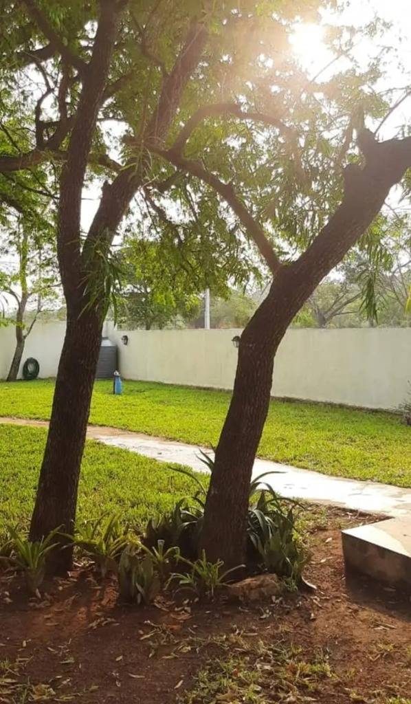 ALQUILO CASA POR TEMPORADA-SAN BERNARDINO — foto 3