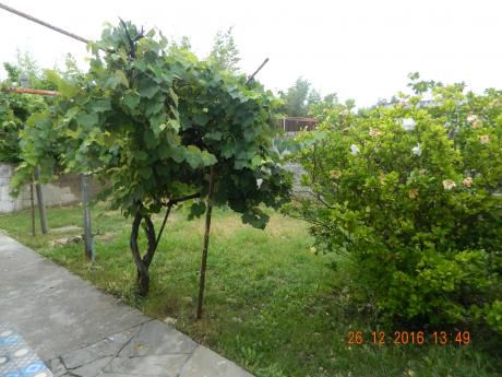 Excelente Casa. Mucho Sol, Fdo, Patio Grande