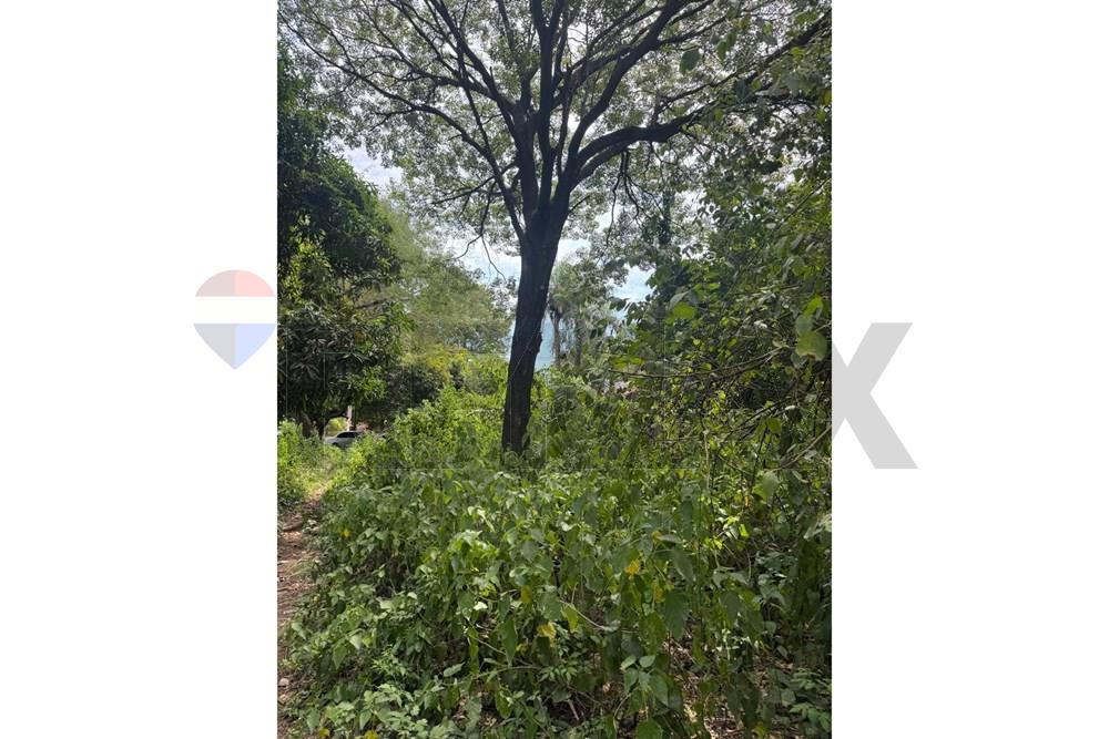 TERRENO EN VENTA - MARIANO ROQUE ALONSO — foto 2