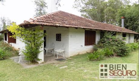 Hermosa Chacra De 12 Hás En Venta En Las Brujas