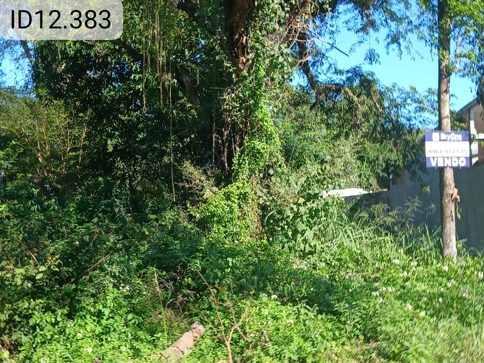 Terreno en venta en San Bernardino | ID 12383 — foto 2