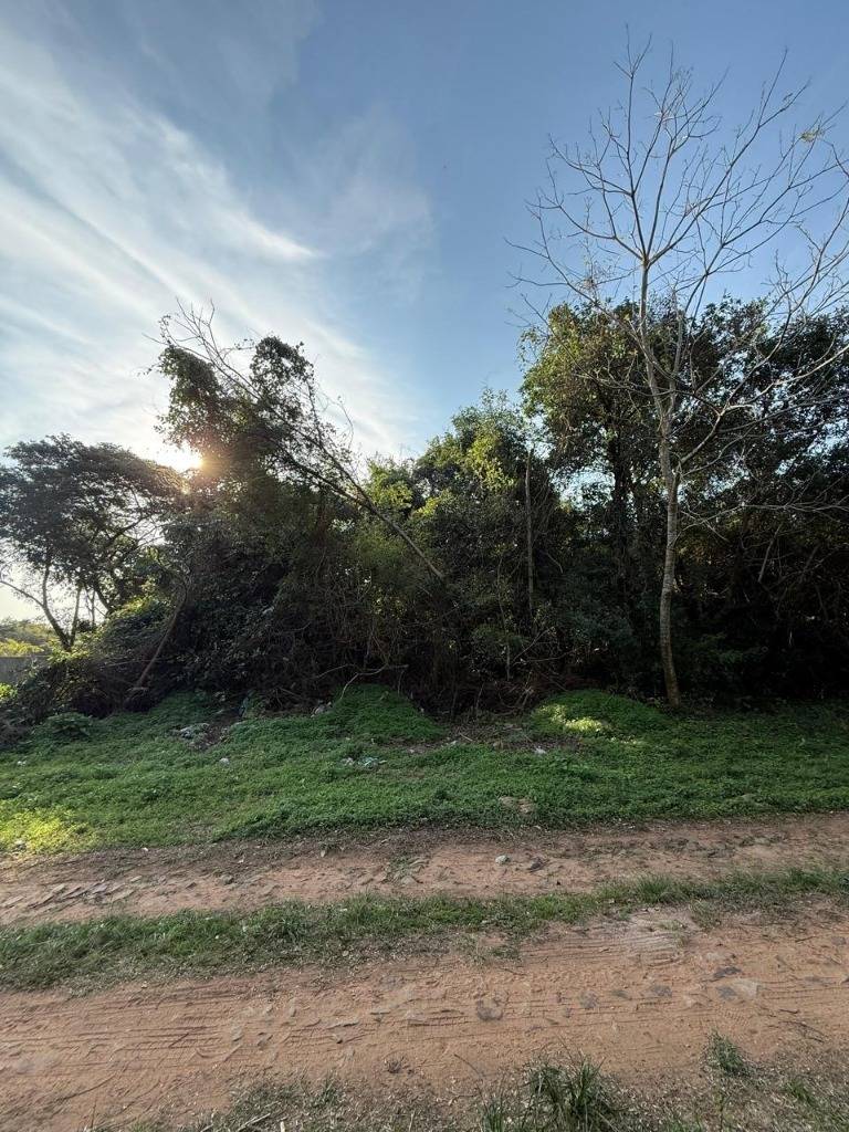 EN VENTA TERRENO EN SAN BERNARDINO — foto 3