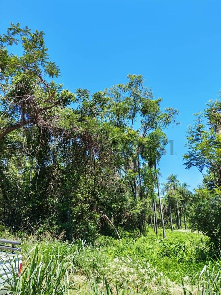 Venta de Terreno en San Bernardino, Cordillera — foto 3